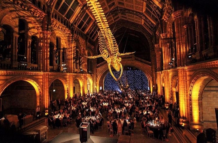 Esthechoc supports FFC x WFN raising £1m for grassroots conservation
